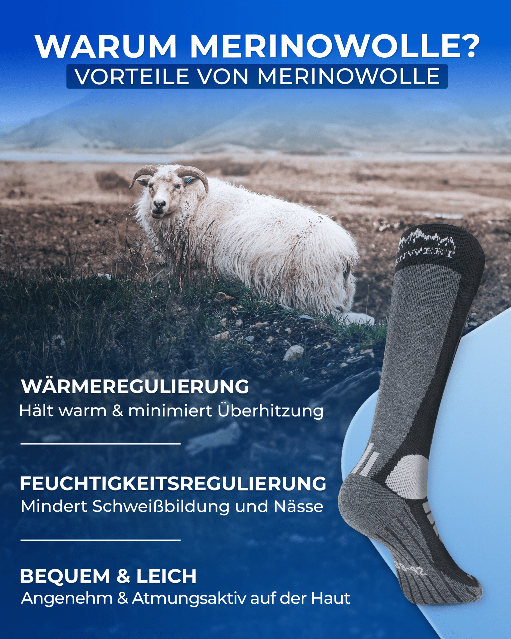 alpenwert-skisocken-merino-2-paar image 4